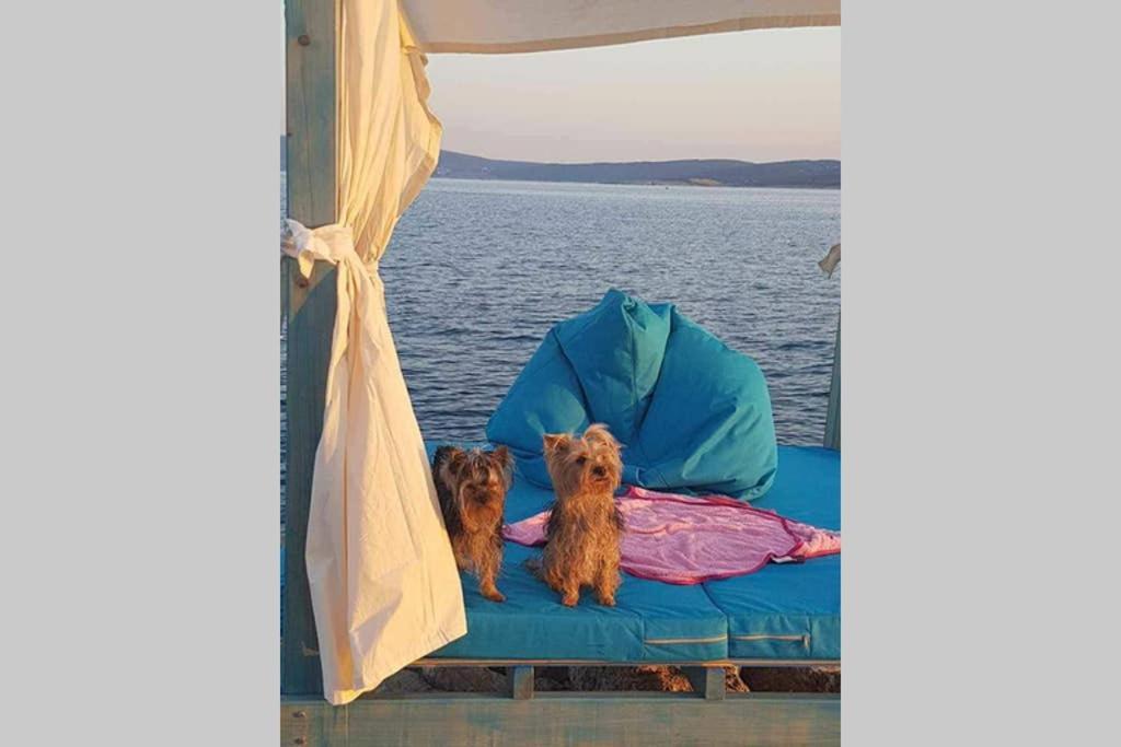 Ribaric Villa Banjol Buitenkant foto