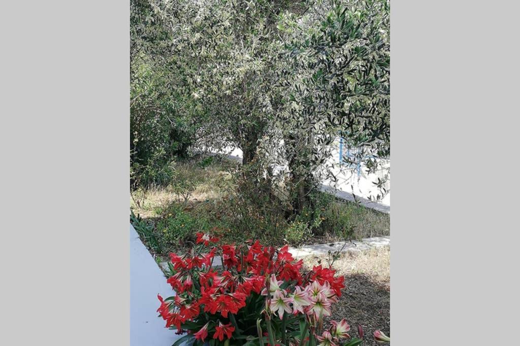 Ribaric Villa Banjol Buitenkant foto